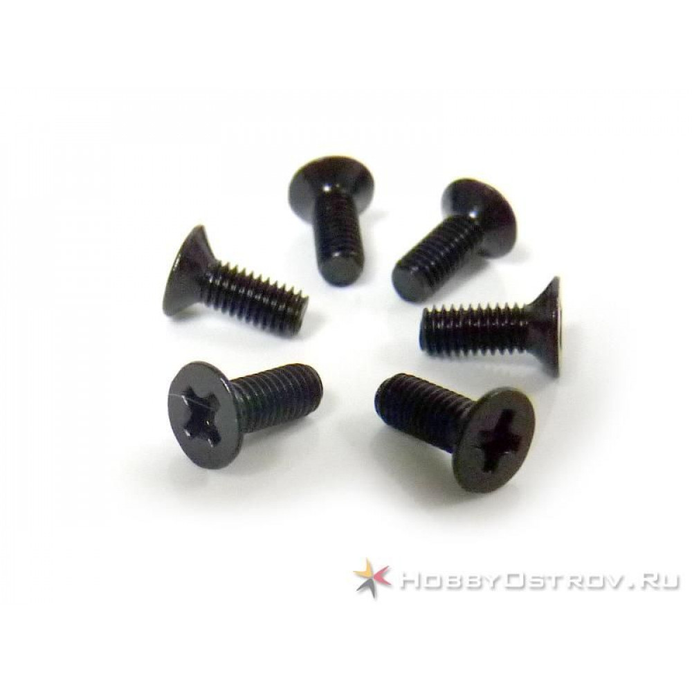 Винт с потайной головкой M3x10 под крестовую отвертку 6шт.