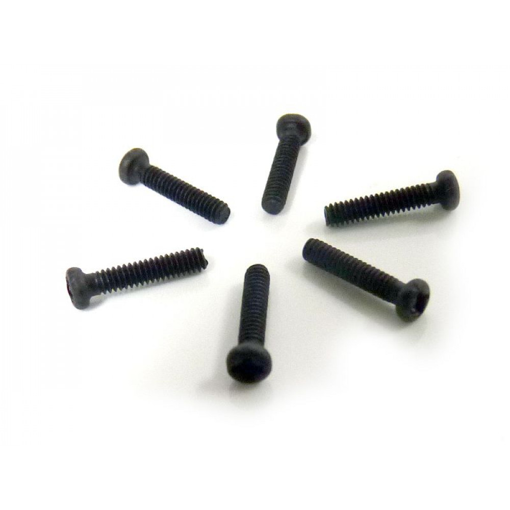 Винт M2x10 под крестовую отвёртку 6шт.